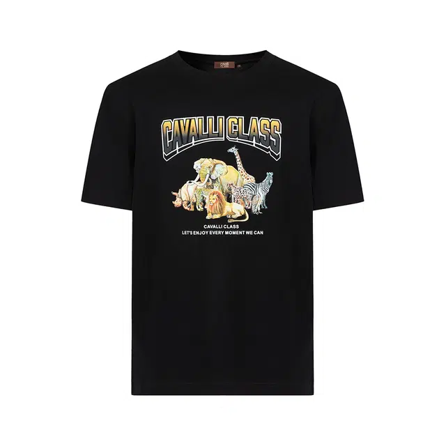 Cavalli Class T