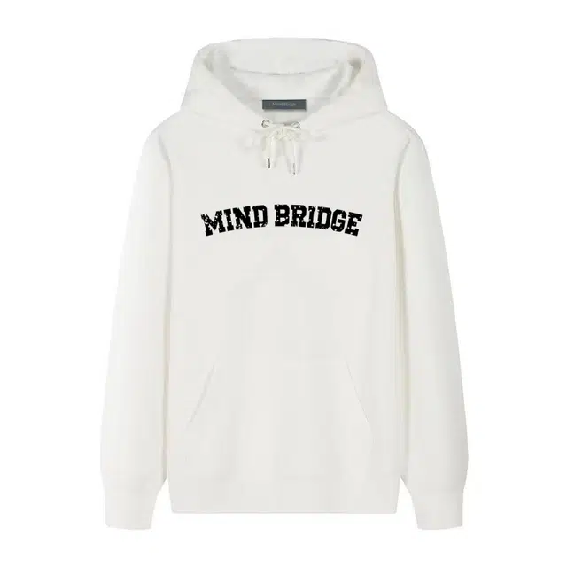 MindBridge