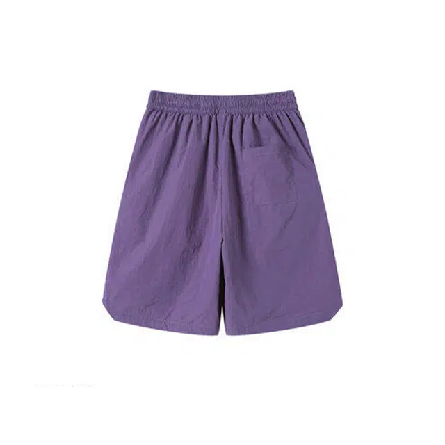 欧路得 刺绣薄款速干运动宽松沙滩五分休闲短裤 男款