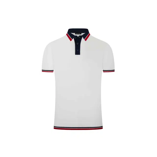 PAINT STAIN Polo