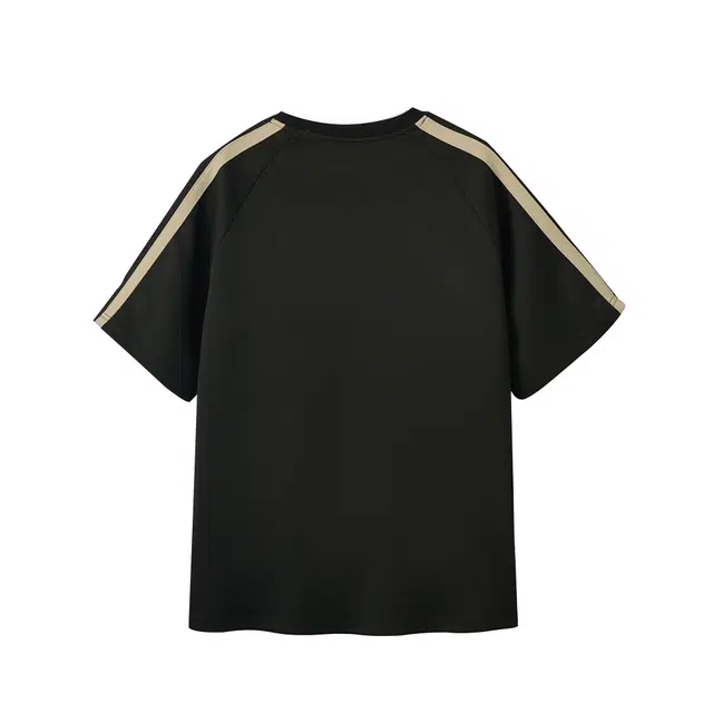 Evil lions T