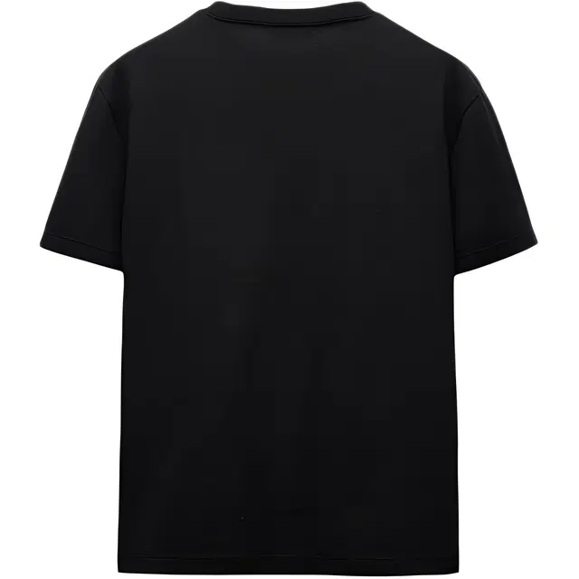 ZARA T