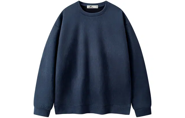 快鱼 日系简约学生党好物基础款多巴胺系列休闲套头纯色百搭亲肤舒适落肩保暖百搭麂皮绒圆领套头卫衣 男女同款