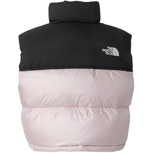 THE NORTH FACE Nupsi FW24 WL logo