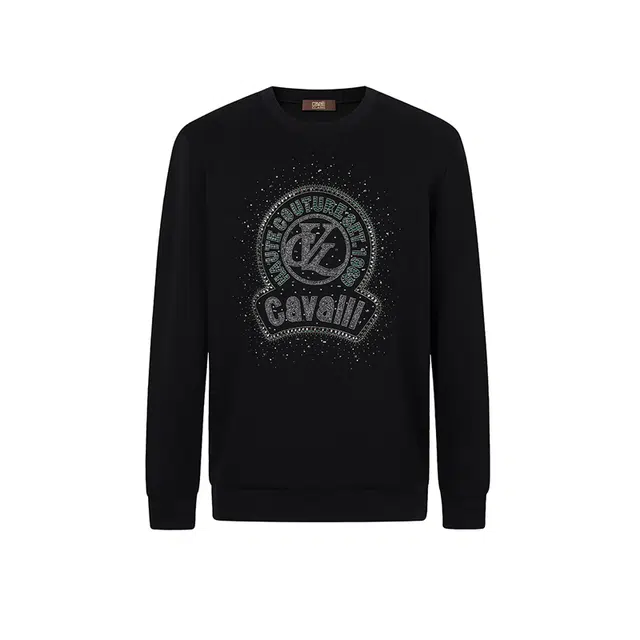 Cavalli Class logo