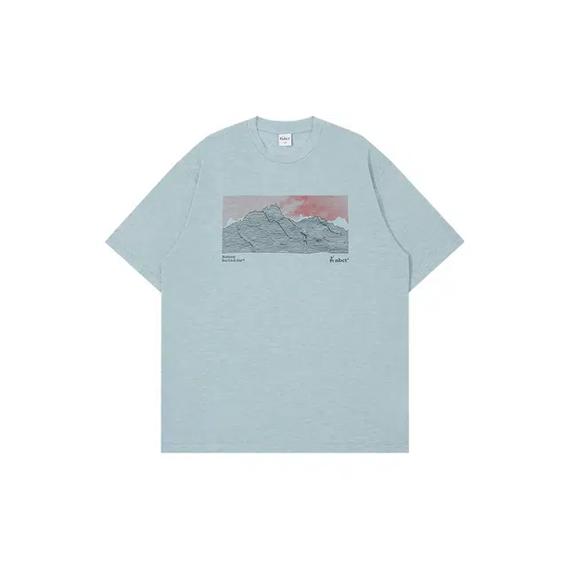 NBCT T