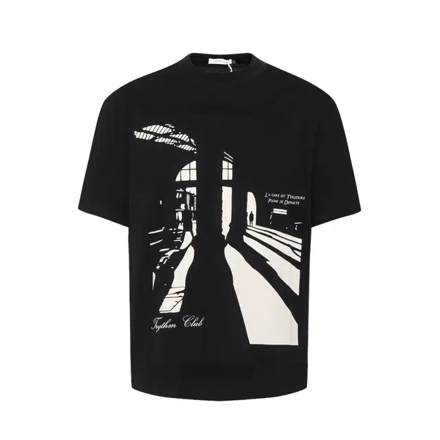 PAINT STAIN T