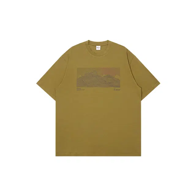 NBCT T