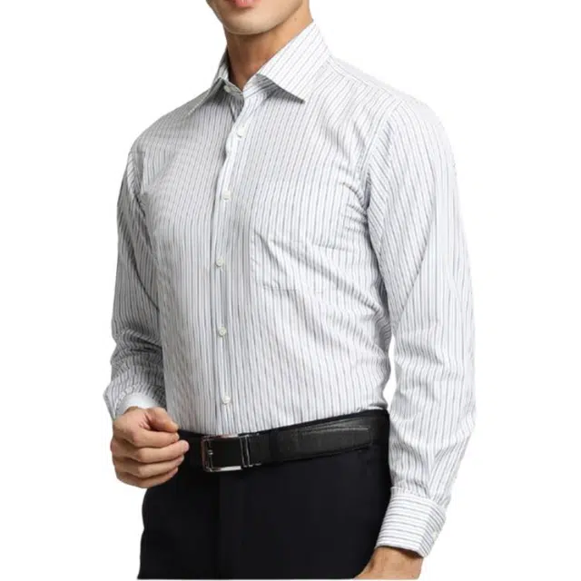 佛朗尼·齐拉 翻领条纹休闲长袖衬衫 男款 蓝条