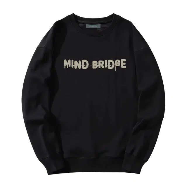 MindBridge