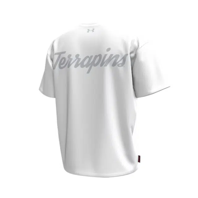 Under Armour Collegiate Heavyweight T -100