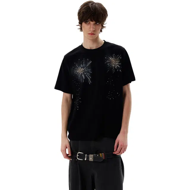 WLNEXT T