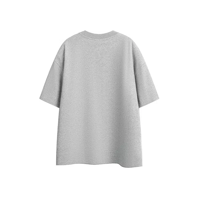 CDISHOU T