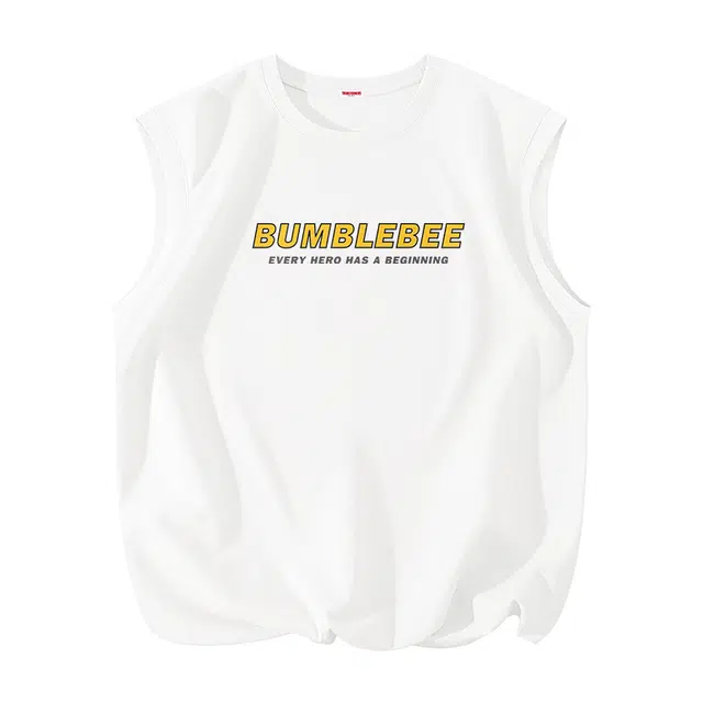 TRANSFORMERS t