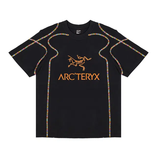 Arcteryx Fantasy logoT