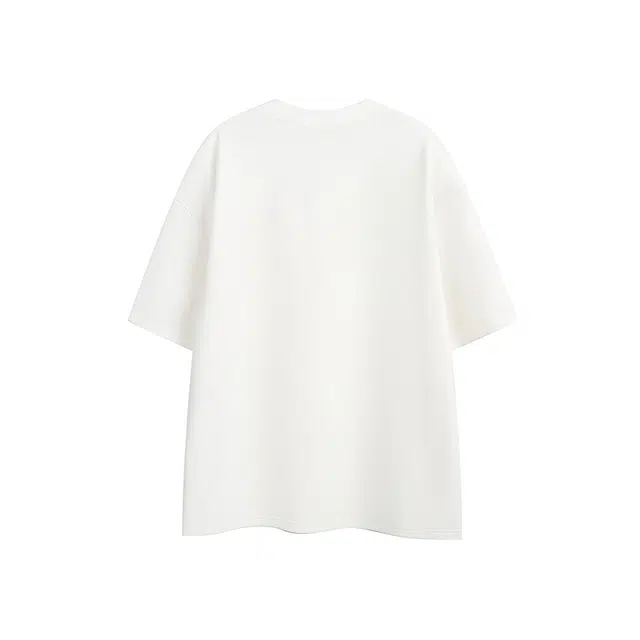 CDISHOU T