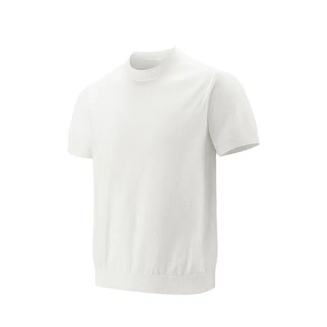 PAINT STAIN T