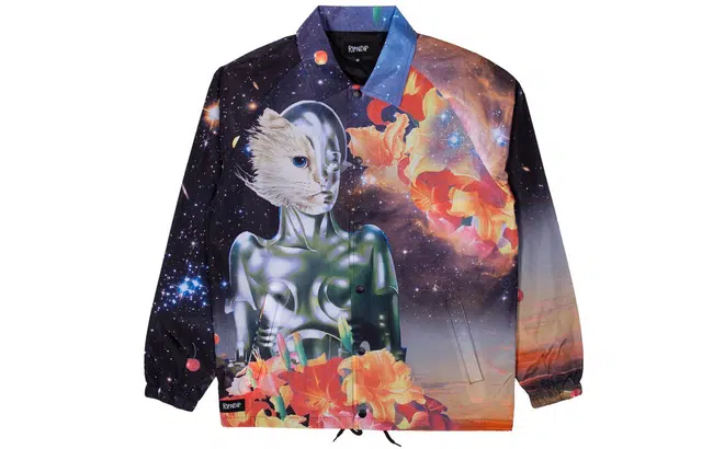 RIPNDIP