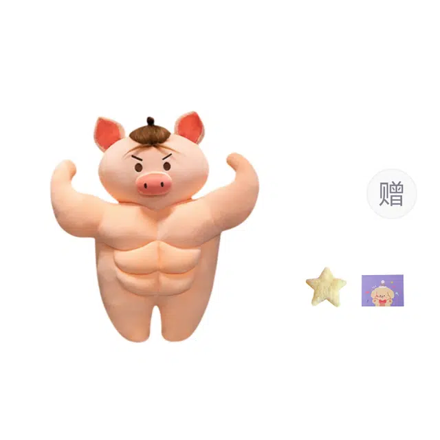 OU DI PIG 40cm55cm70cm