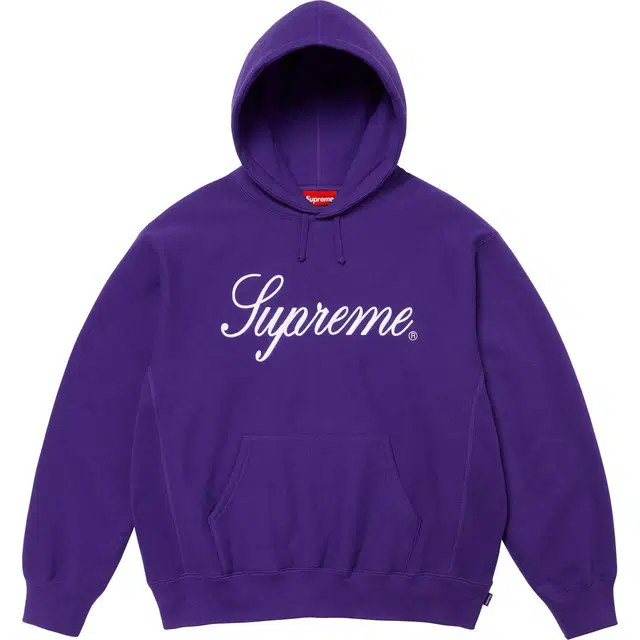 Supreme FW24 Embroidered Script Hooded Sweatshirt