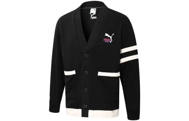 PUMA LogoV