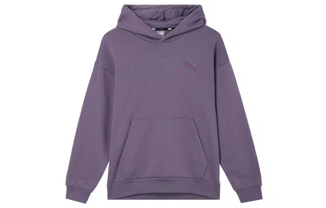 PUMA Elevated HOODIE FL logo