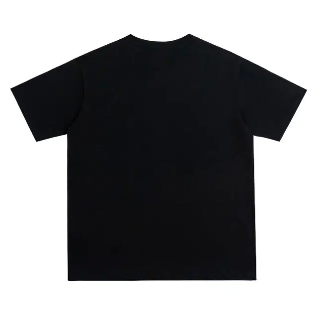 PAINT STAIN T