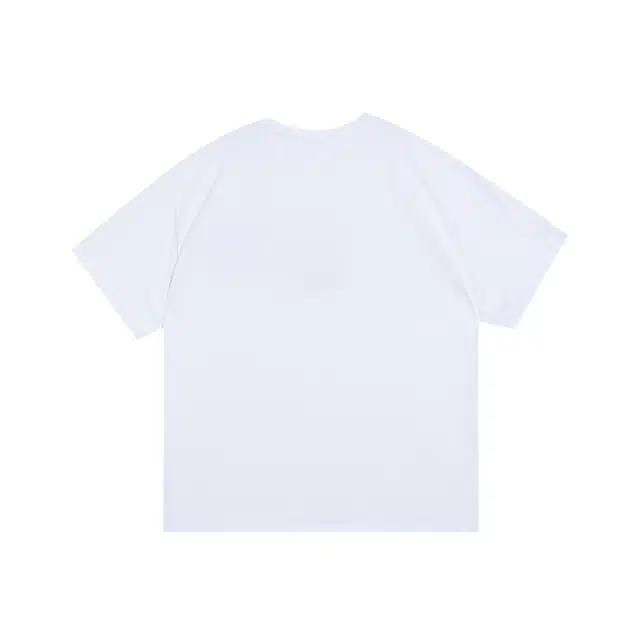 RIGORER T