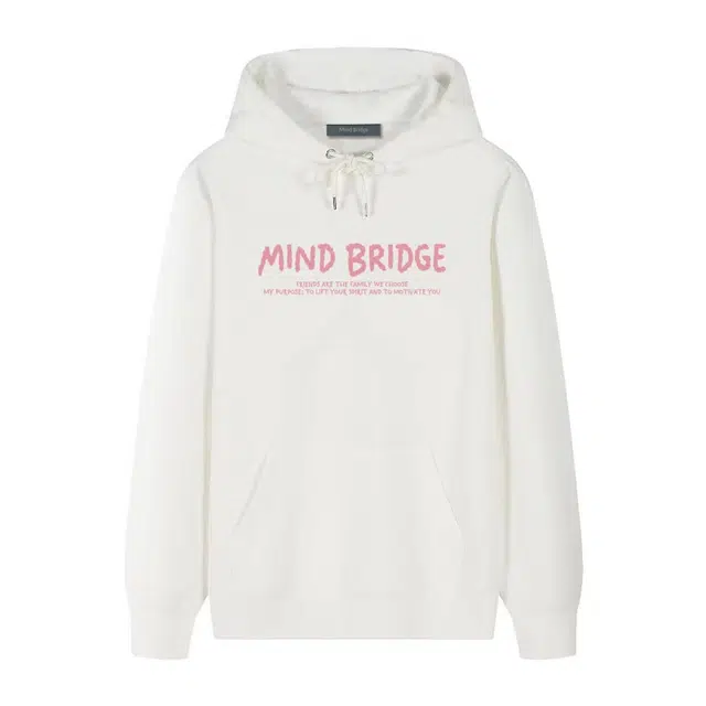 MindBridge