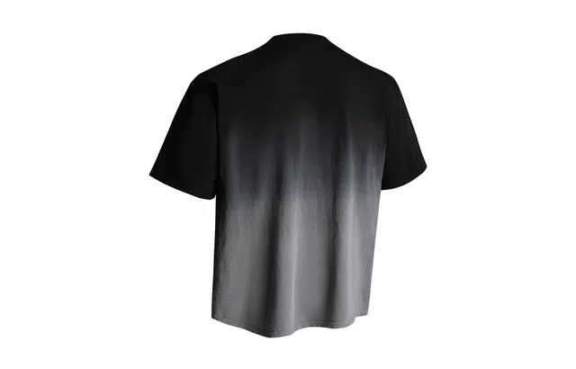 PAEFA T