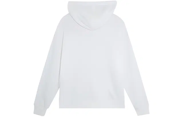 PUMA BASICS HOODIE