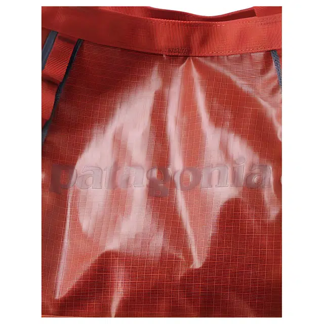 patagonia Tote