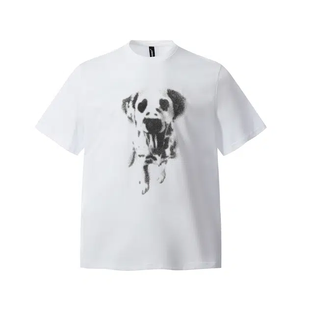 VERAF CA T