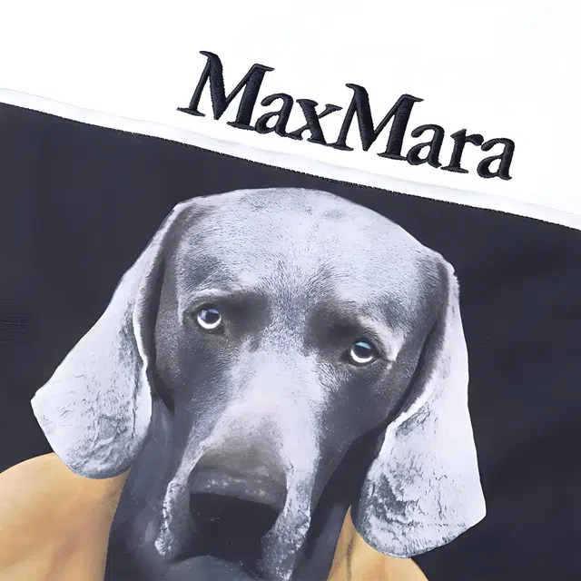 MaxMara Bacco T