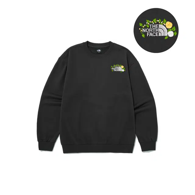 THE NORTH FACE logo