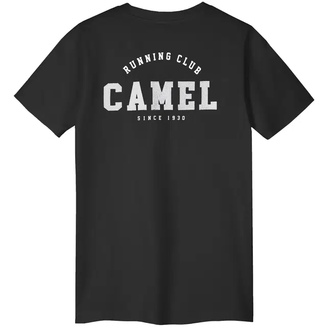 CAMEL logoT
