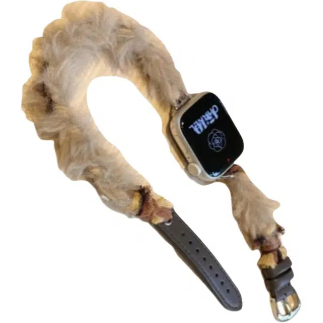 Applewatch S9S8SE76543