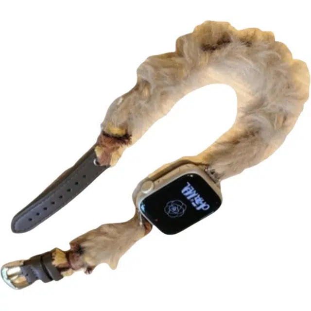 Applewatch S9S8SE76543