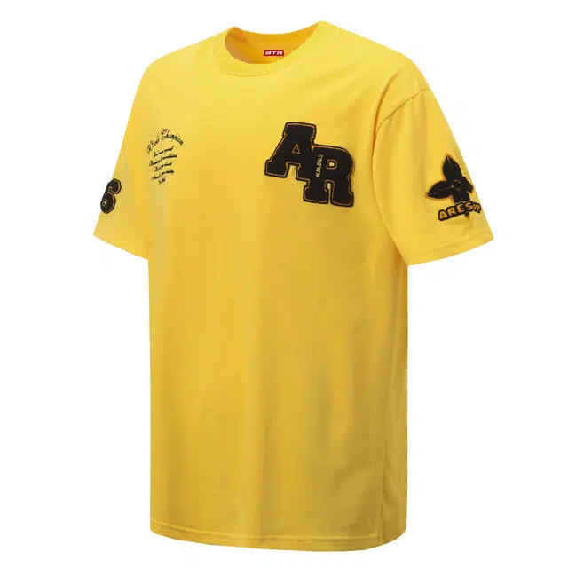 PAINT STAIN T