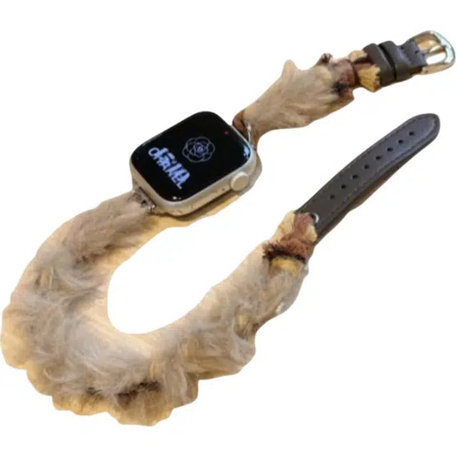 Applewatch S9S8SE76543