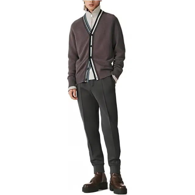 HERMES V