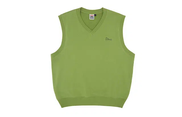 Vision Street Wear V