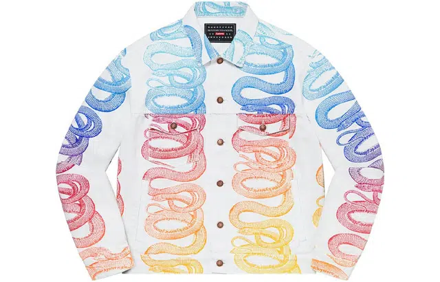 Supreme x HYSTERIC GLAMOUR Snake Denim Trucker Jacket