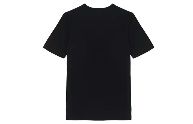 Champion T
