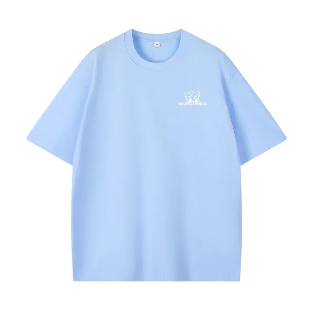 HOWIE LANDAU T