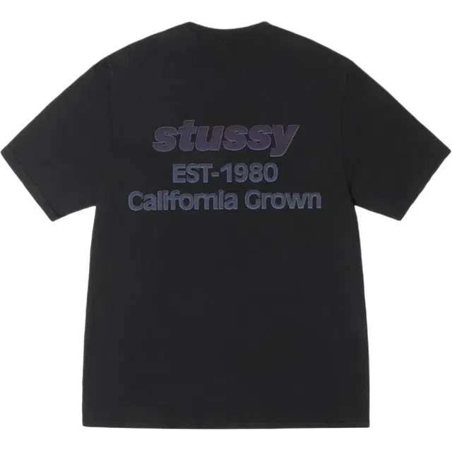 Stussy SS25 CALIFORNIA GROWN TEE PIGMENT DYED logoT