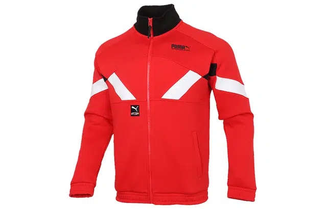 Puma Logo