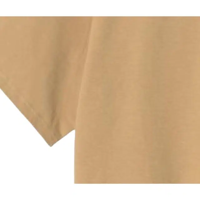 Carhartt WIP SS23 LogoT