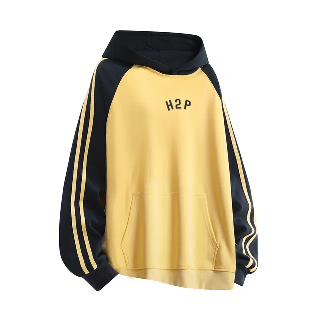 H2P 3D