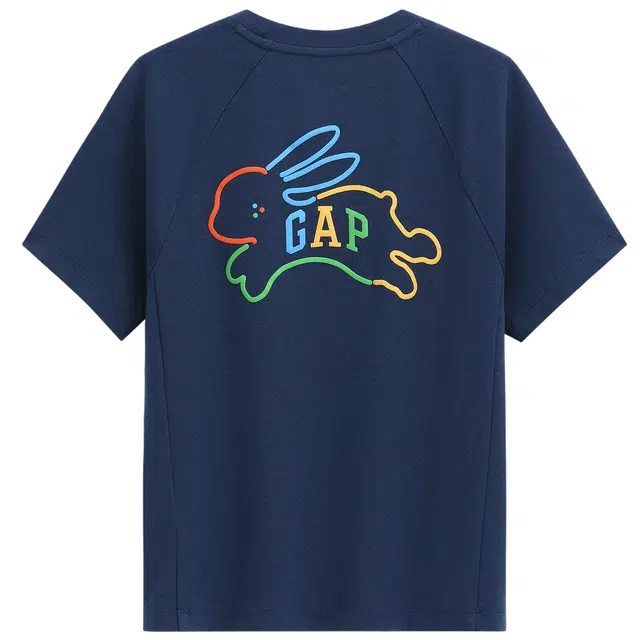 GAP MTSS Logo T